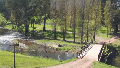 Greenstone Farm - New Castle Holiday 7