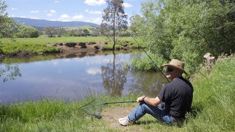 BIG4 Taggerty Holiday Park - New Castle Holiday 4