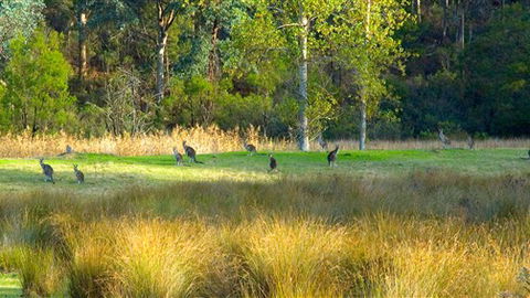 Waterholes Guest House - New Castle Holiday 4