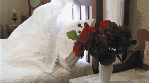 Abergeldie Bed & Breakfast - New Castle Holiday 1