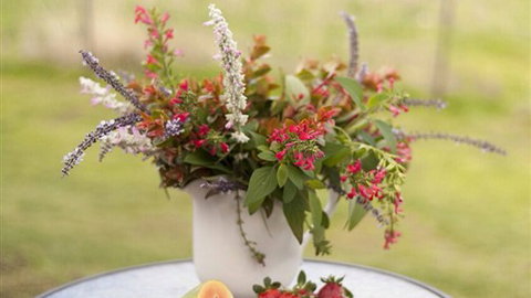 Traquair Estate - New Castle Holiday 6