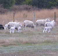 Auberge Woodend - New Castle Holiday