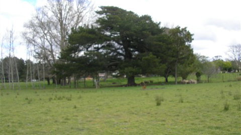 Auberge Woodend - New Castle Holiday 3