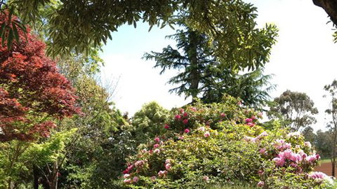 Chestnut Springs - New Castle Holiday 2