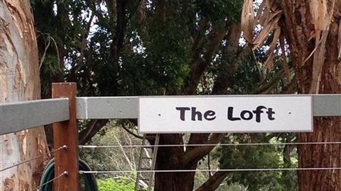 Chestnut Springs - New Castle Holiday 4