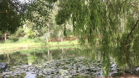 Chestnut Springs - New Castle Holiday 7