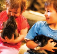 Macka's Farm - New Castle Holiday