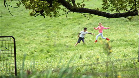 Tarndie - New Castle Holiday 5