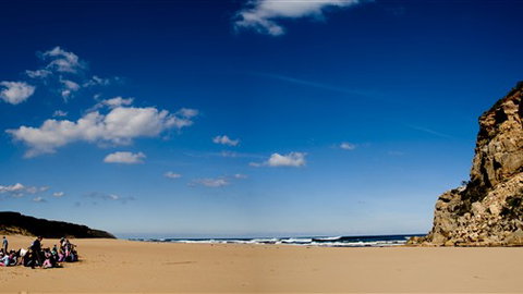 Kangaroobie - New Castle Holiday 5