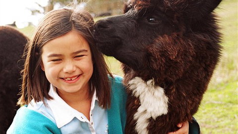 Sabrelyn Park - New Castle Holiday 1