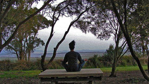 Sabrelyn Park - New Castle Holiday 4