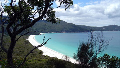 Sabrelyn Park - New Castle Holiday 6