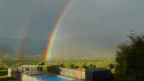 Karoonda Olive Grove Retreat At Mt Buffalo Olives - New Castle Holiday 7