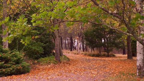 Griffins Hill Retreat - New Castle Holiday 5