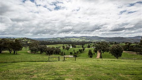 Holmesglen At Eildon - The Homestead - New Castle Holiday 3