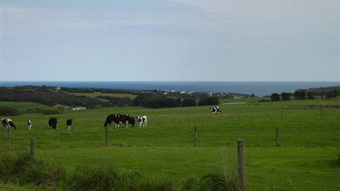 Serenity Views - New Castle Holiday 4