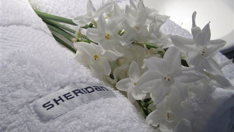 Maydays - New Castle Holiday 1