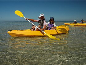 Ceduna Shelly Beach Caravan Park And Beachfront Villas - New Castle Holiday 3