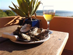 Ceduna Shelly Beach Caravan Park And Beachfront Villas - New Castle Holiday 4