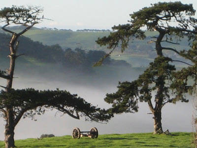 Benaway Cottages - New Castle Holiday 3