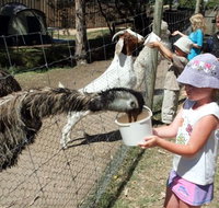 BIG4 Bairnsdale Holiday Park - New Castle Holiday
