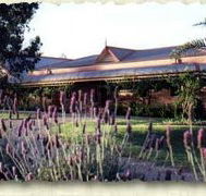 Bluebush Estate - New Castle Holiday