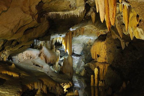 Buchan Caves Reserve - New Castle Holiday 4