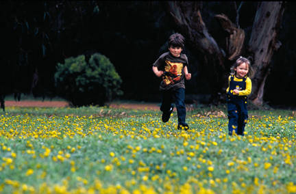 Caves Road Chalets - New Castle Holiday 3