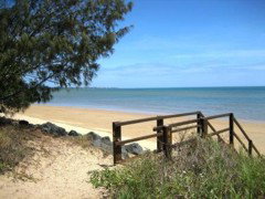 Coconut Palms On The Bay - New Castle Holiday 2