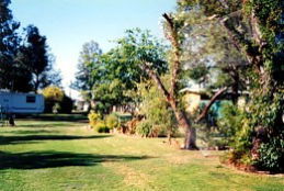 Condamine River Caravan Park - New Castle Holiday 0