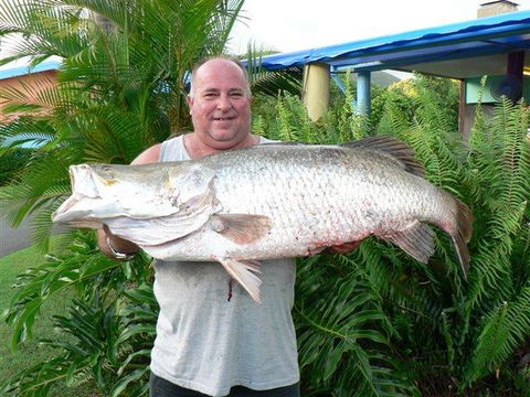 Conway Beach Tourist Park Whitsunday - New Castle Holiday 4