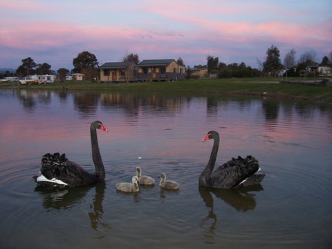 Mansfield Holiday Park - New Castle Holiday 0