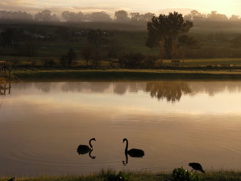 Mansfield Holiday Park - New Castle Holiday 2
