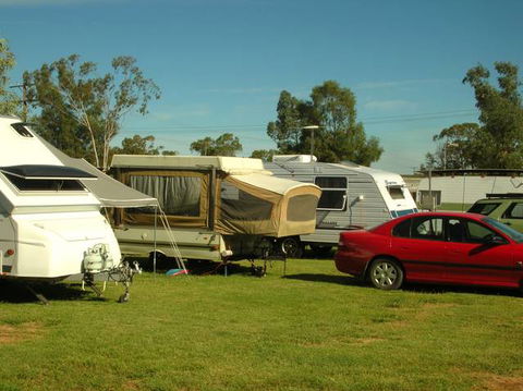 Crocodile Caravan  & Camping Park - New Castle Holiday 0