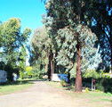Cudal Caravan Park - New Castle Holiday