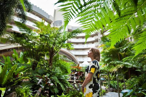 Double Tree - New Castle Holiday 3