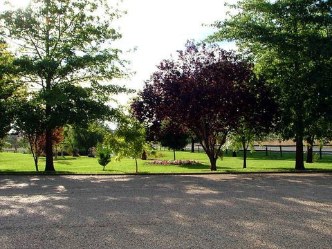 Horseshoe Motor Village Caravan Park - New Castle Holiday 4