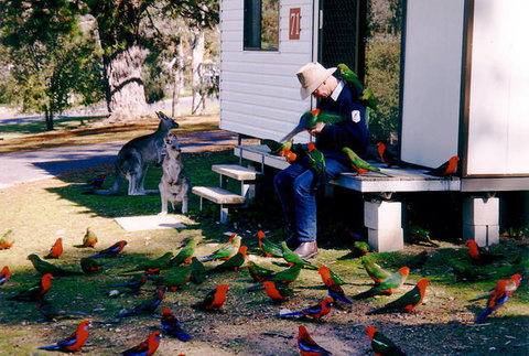 Inland Waters Holiday Parks Burrinjuck - New Castle Holiday 0
