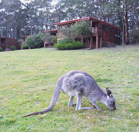 Jenolan Caves Cottages - New Castle Holiday
