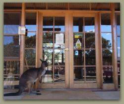 Kangaroo Island Wilderness Retreat - New Castle Holiday 1