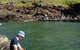 Kiama Harbour Cabins - thumb 1