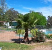 Lake Burrinjuck Leisure Resort - New Castle Holiday