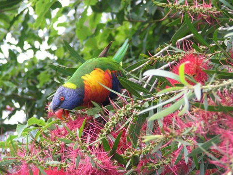 Lakesea Park - New Castle Holiday 1