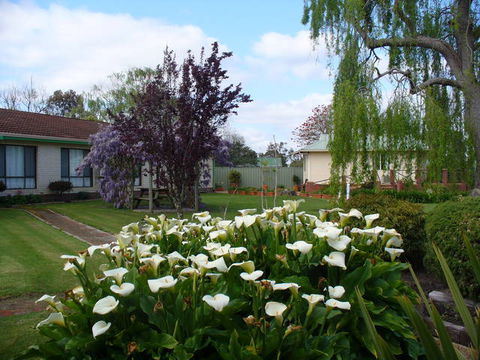 Mount Barker Valley Views Motel And Chalets - New Castle Holiday 1