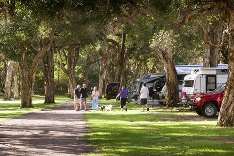 North Coast Holiday Parks Beachfront - New Castle Holiday 2