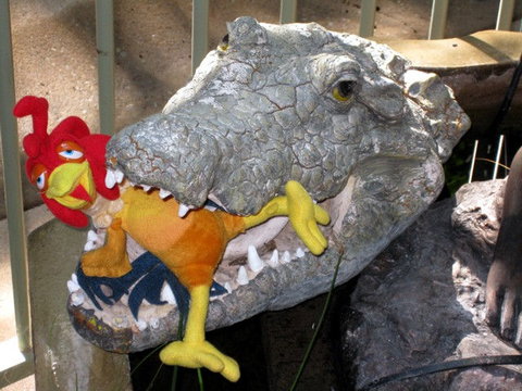 Palmerston Sunset Retreat - New Castle Holiday 1