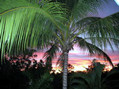 Palmerston Sunset Retreat - New Castle Holiday 4