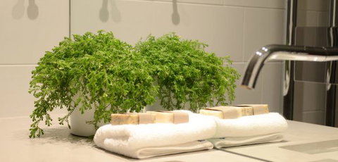 Bannisters Pavilion - New Castle Holiday 14