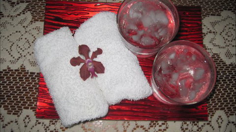 Bromeliad Bed And Breakfast - New Castle Holiday 6