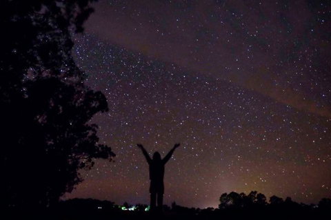 Childers Eco-lodge - New Castle Holiday 5